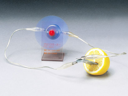 くだもの電池