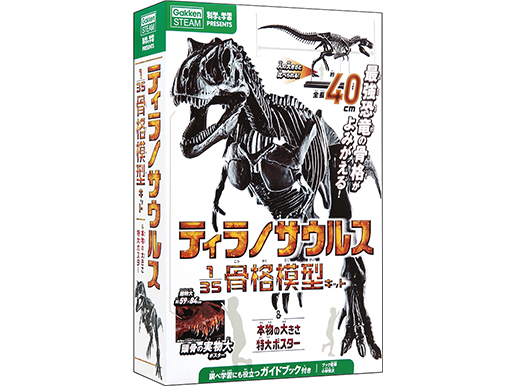 ティラノサウルス骨格模型&ポスター