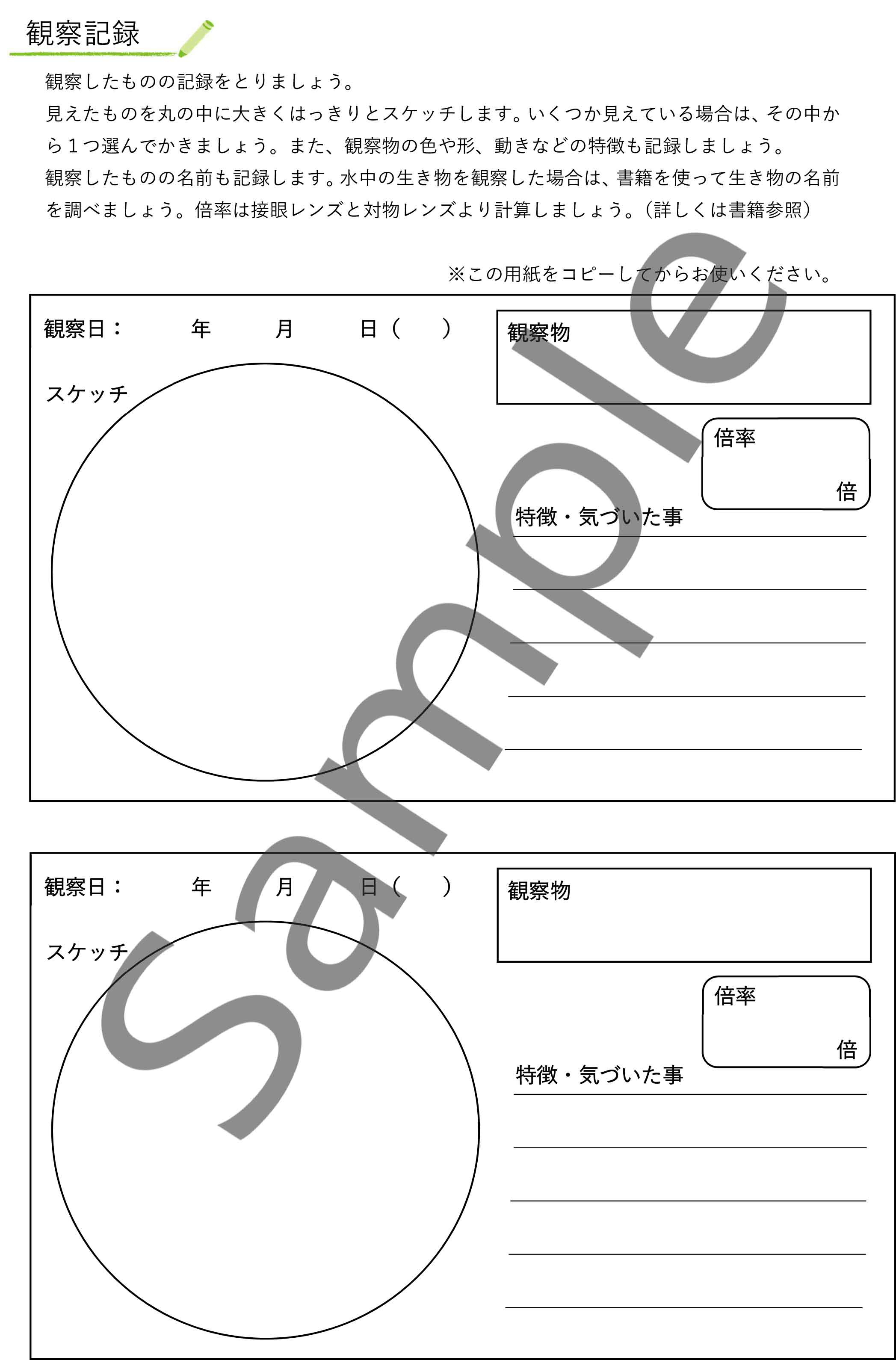 水の生き物顕微鏡観察セット