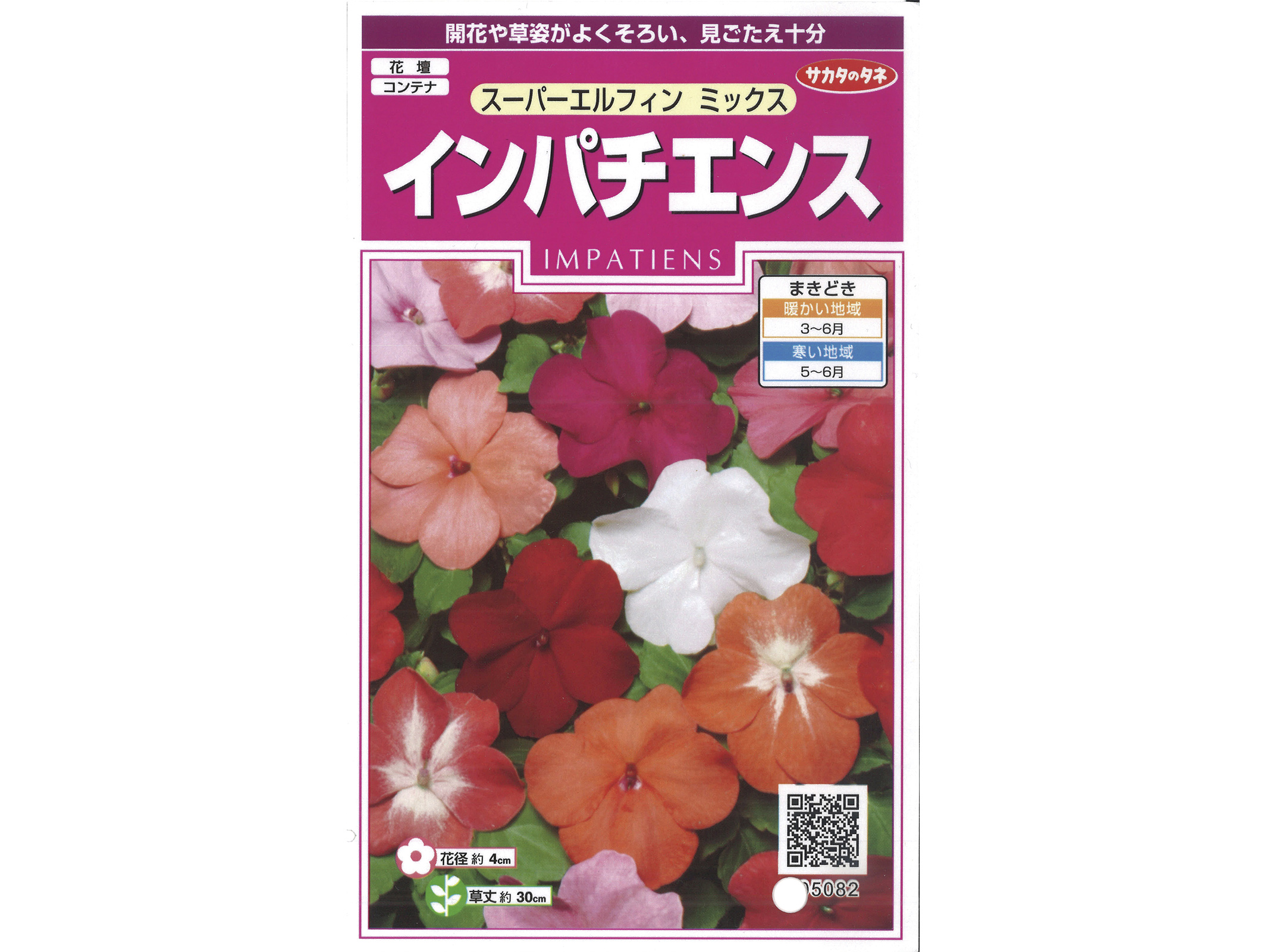 植物の種 インパチェンス 植物の種 インパチェンス