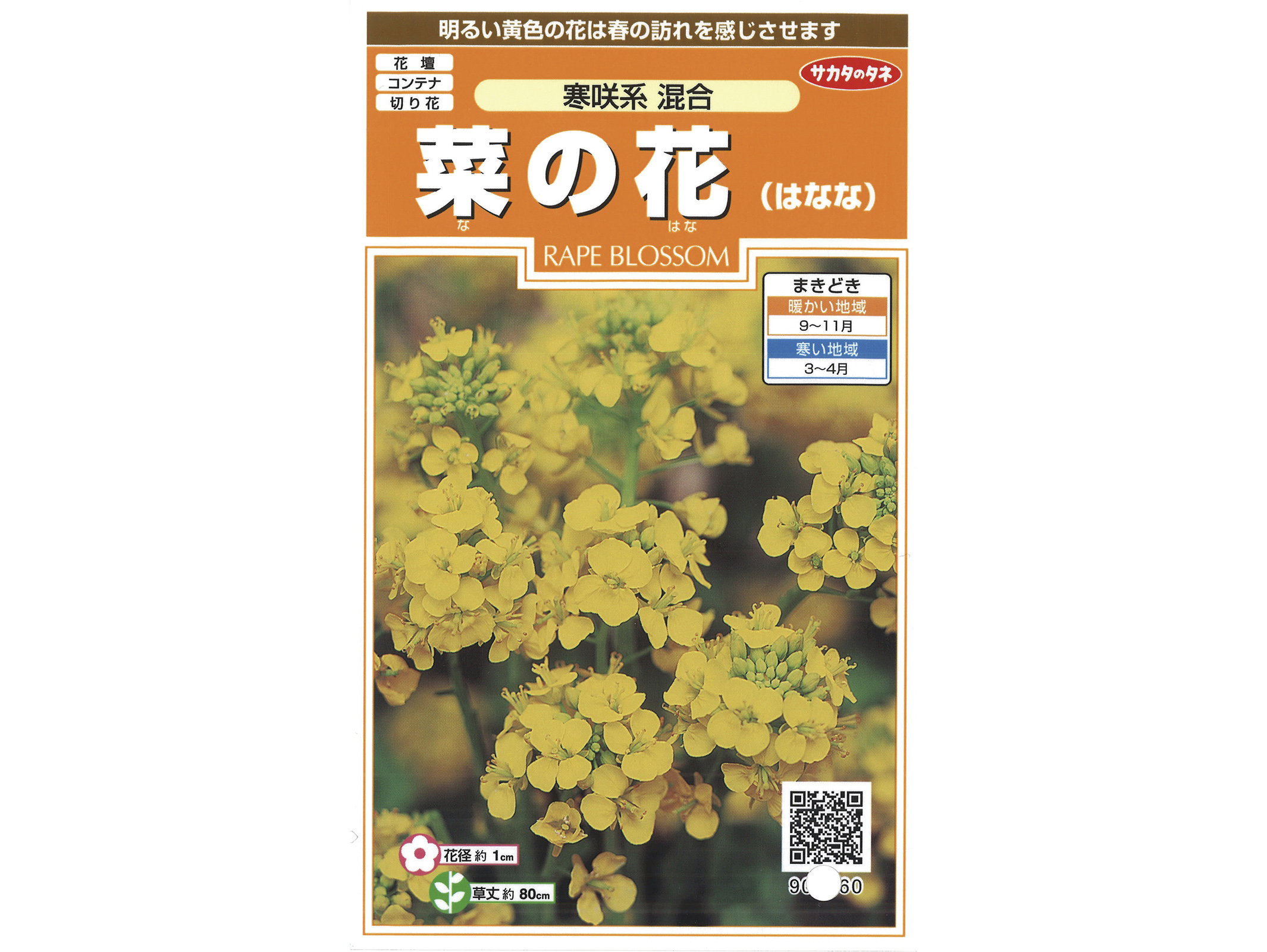 植物の種 アブラナ