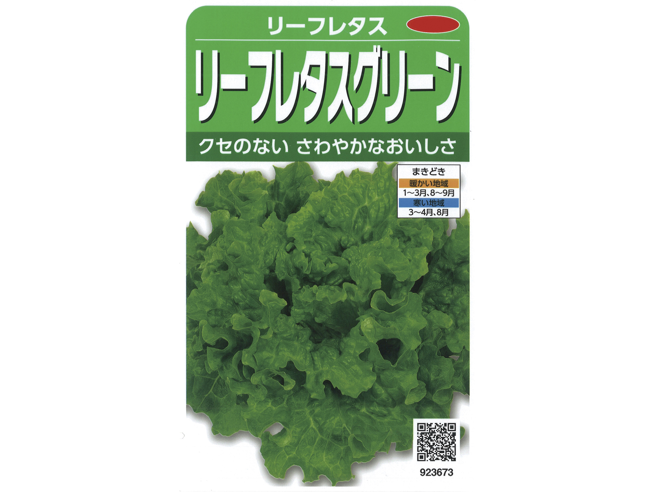 植物の種 リーフレタス 植物の種 リーフレタス