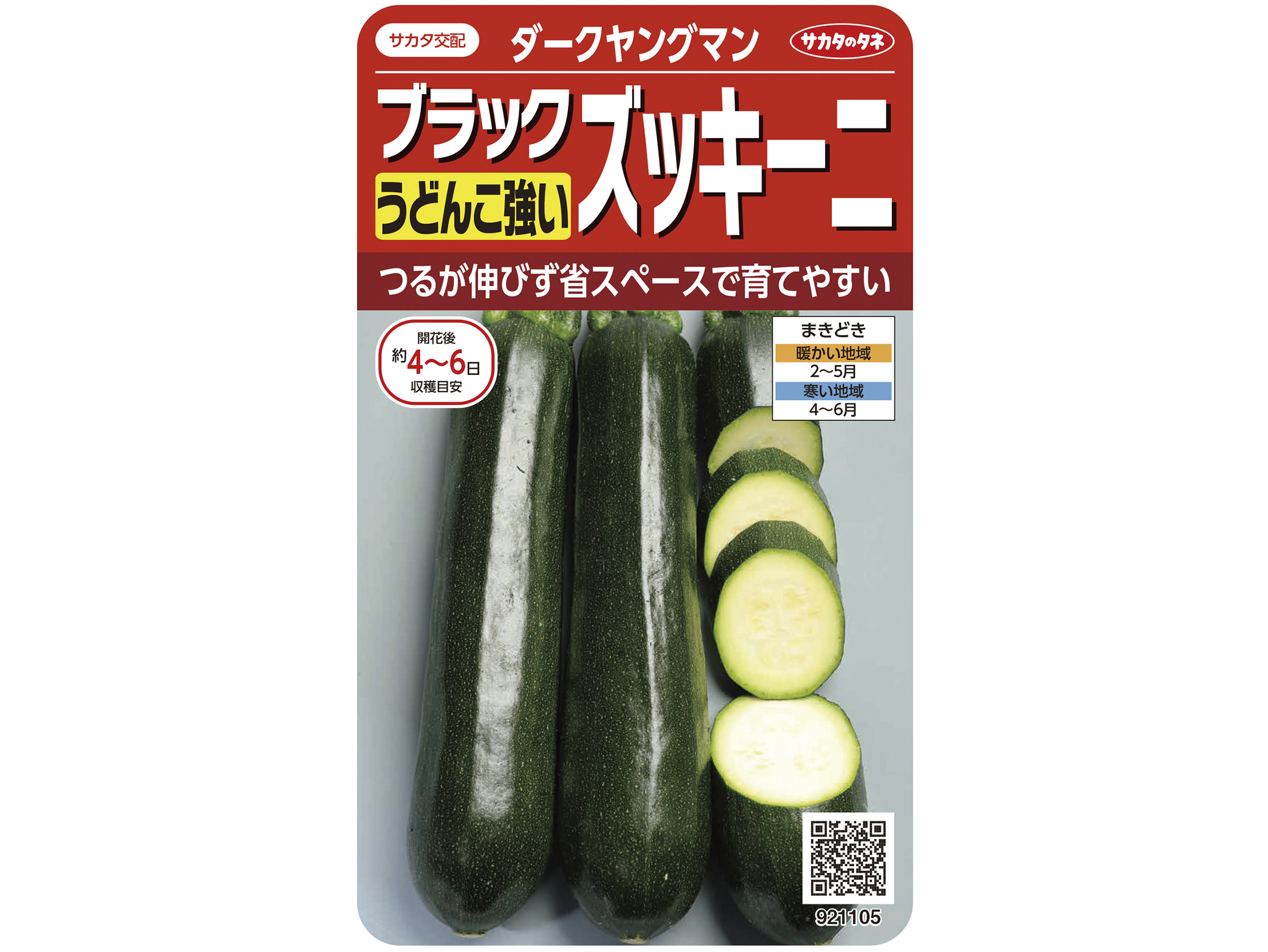 植物の種 ズッキーニ