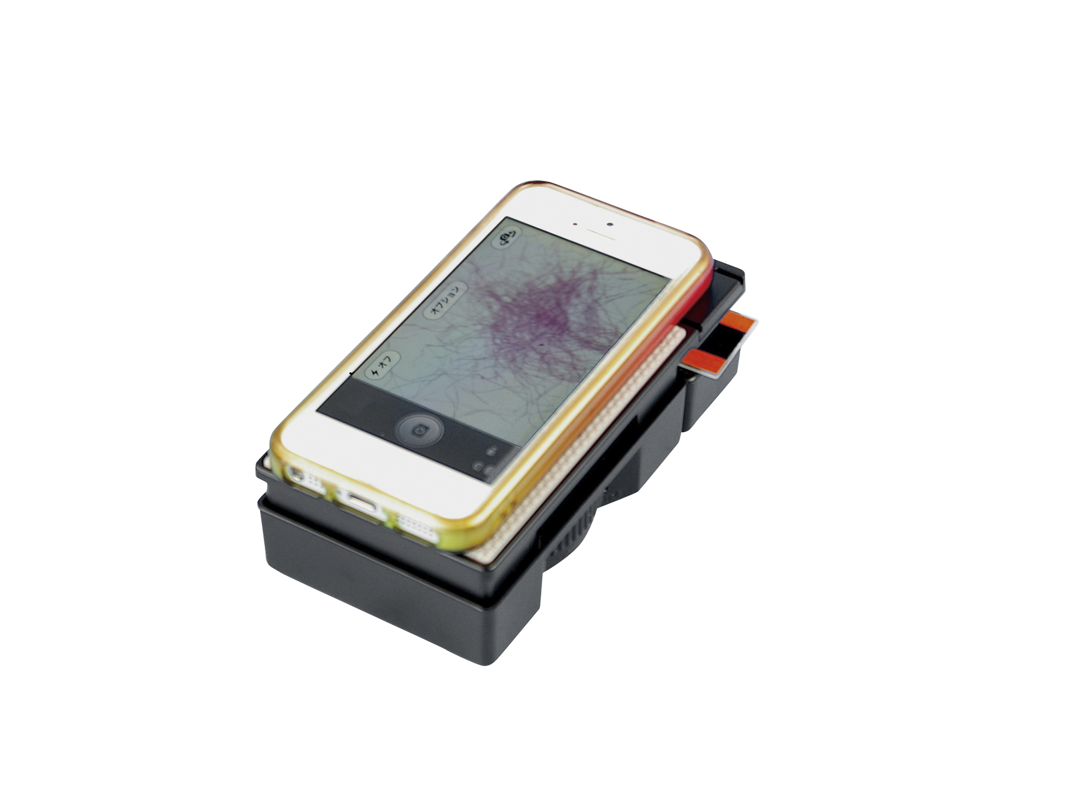 スマホde顕微鏡