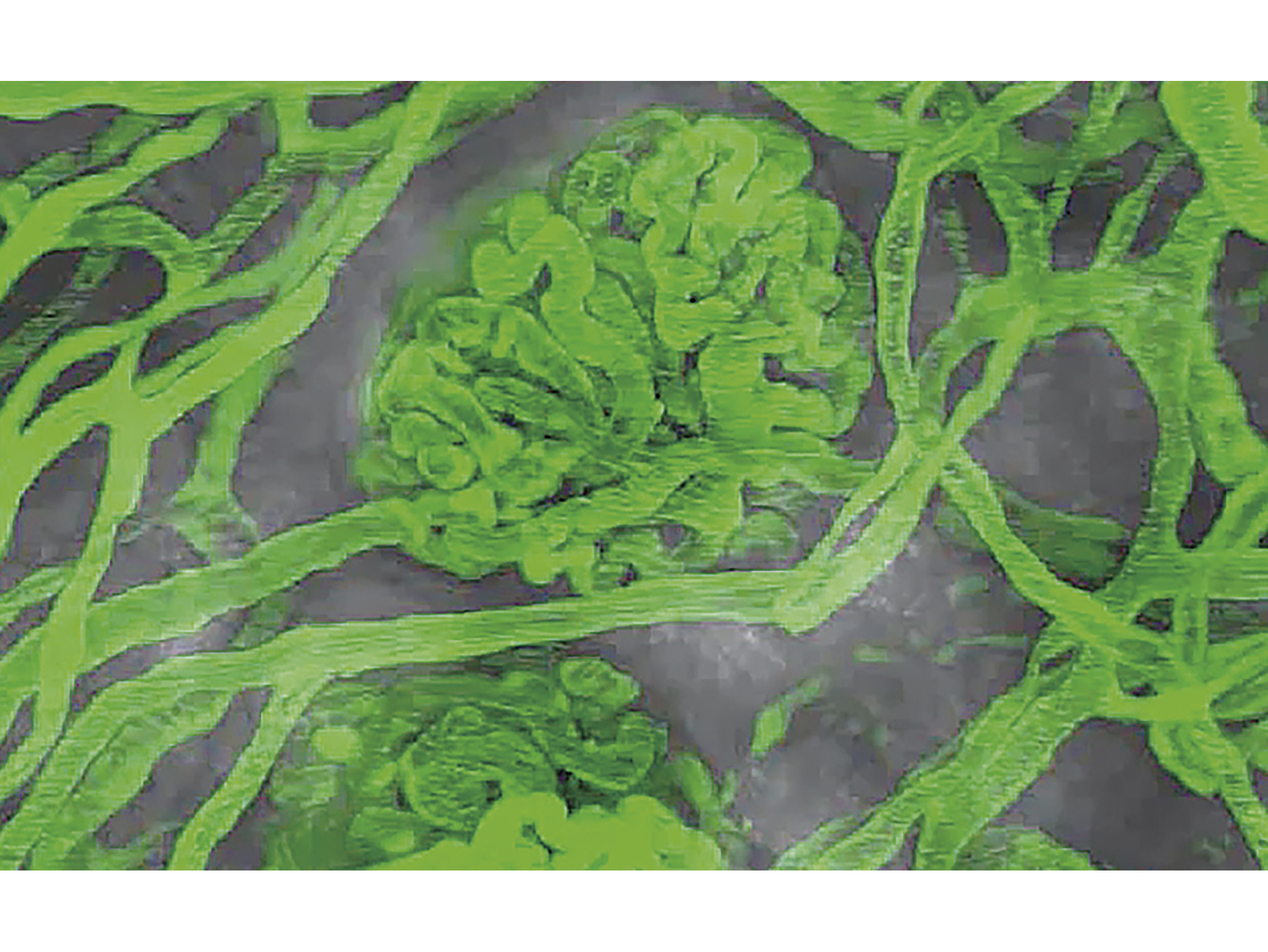 eミクロ 高校生物基礎 高校生物 DVD