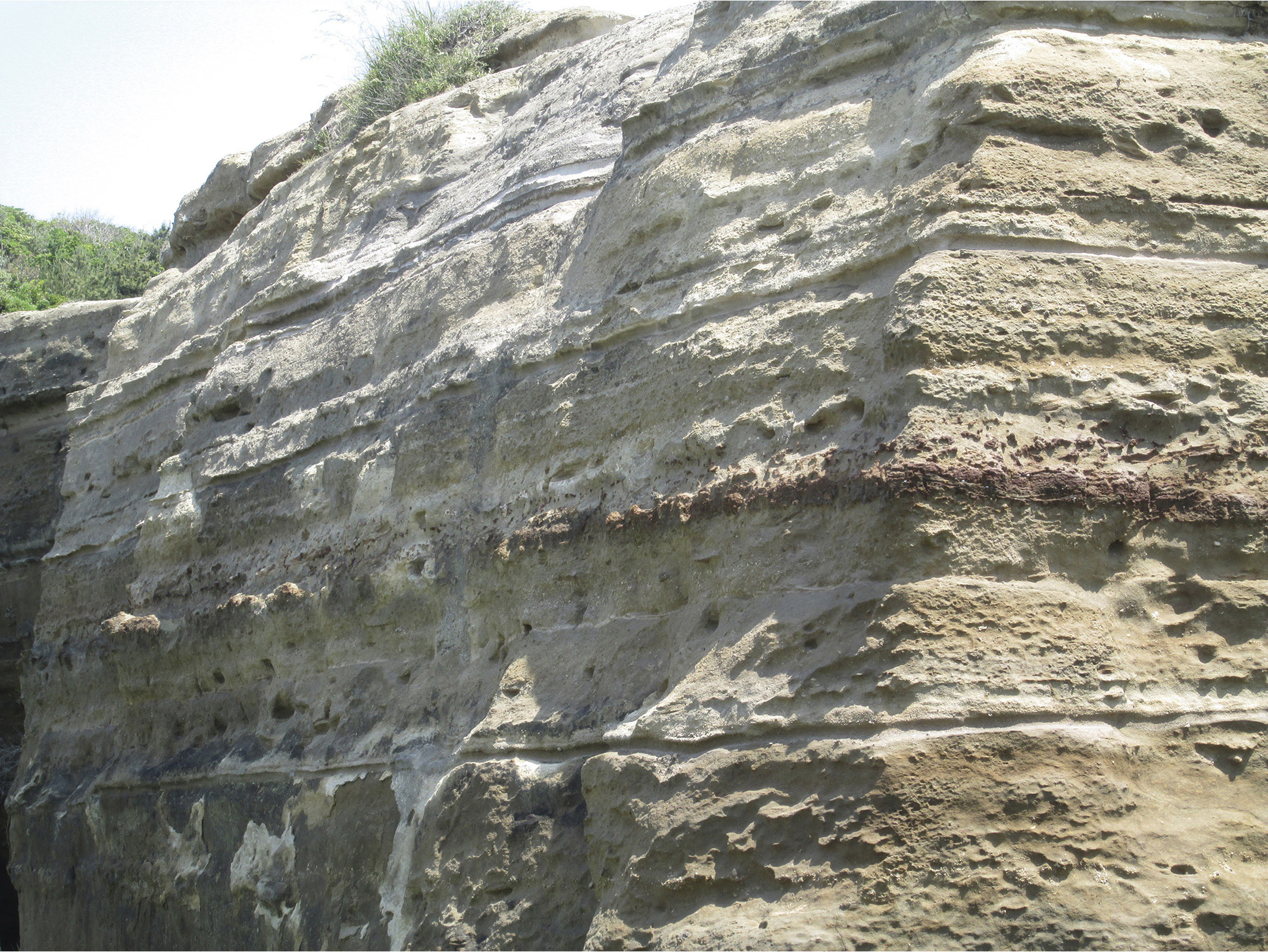 小学校dvd流れる水の働きと土地の変化1