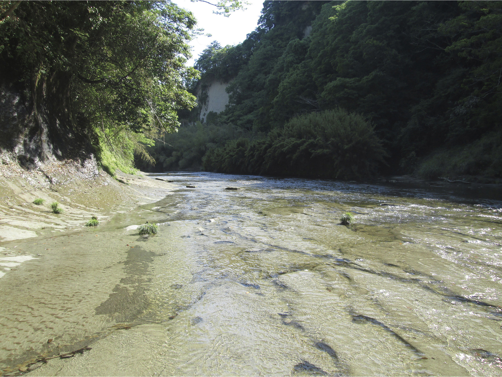 小学校dvd流れる水の働きと土地の変化1