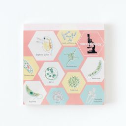 実験器具 科学グッズの通信販売 科学のおみせ サイボックス